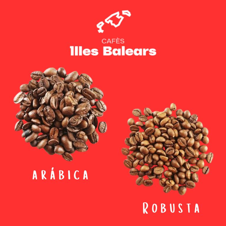 variedades principales de café  variedades principales de café: Arábica y Robusta