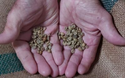 El secreto de Cafès Illes Balears