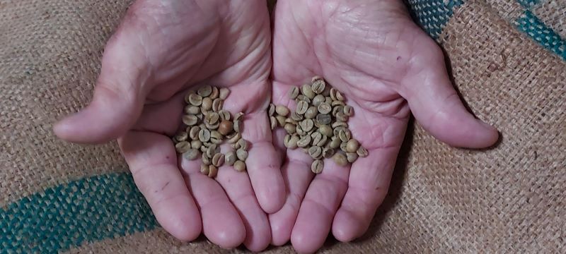 VALORES-DE-CAFES-ILLES-BALEARS-1 compost finca Cafès Illes Balears