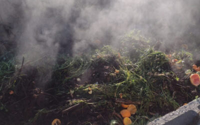 Composting: Following the cycle to grow with purpose