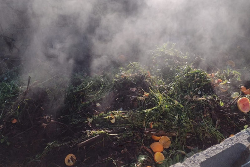 COMPOSTING AT THE CAFÈS ILLES BALEARS FARM